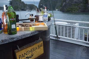 Panthera Bar