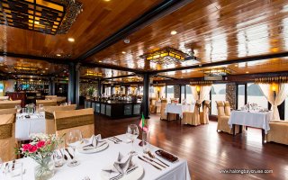Ancora Cruise  