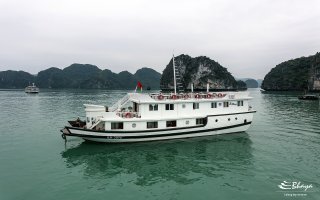 Bhaya Cruises