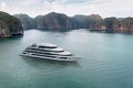 Scarlet Pearl Cruises