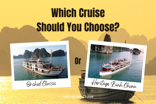 Orchid Classic vs Heritage Binh Chuan: Which Cruise Should You Choose?