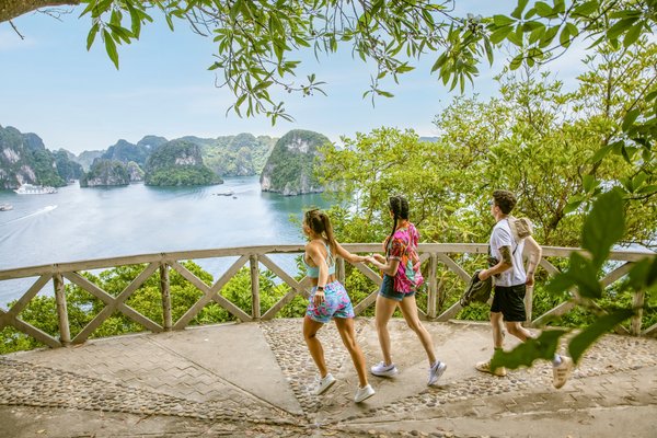 Complete Halong Bay Guide for Travelers from Canada - Cruise Tips Included